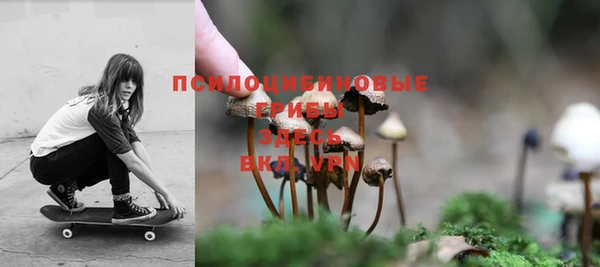 мдпв Бугульма