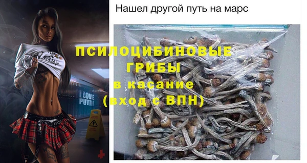 мдпв Бугульма